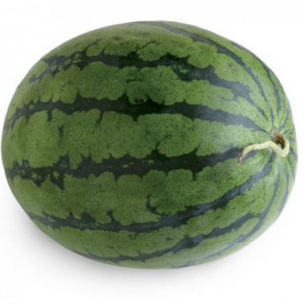 Water Melon F1 Aalam Daksh 55 - Seeds(Sanya 786)